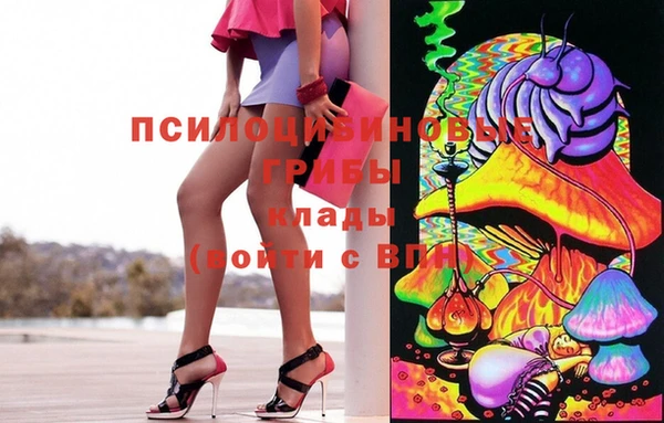 дживик Алексин