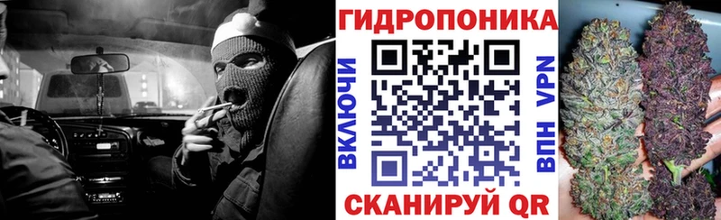 купить  сайты  Кириши  Бошки марихуана Amnesia 